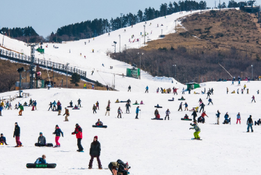 九重森林公園滑雪場 5天
（福岡進出・不含機票）