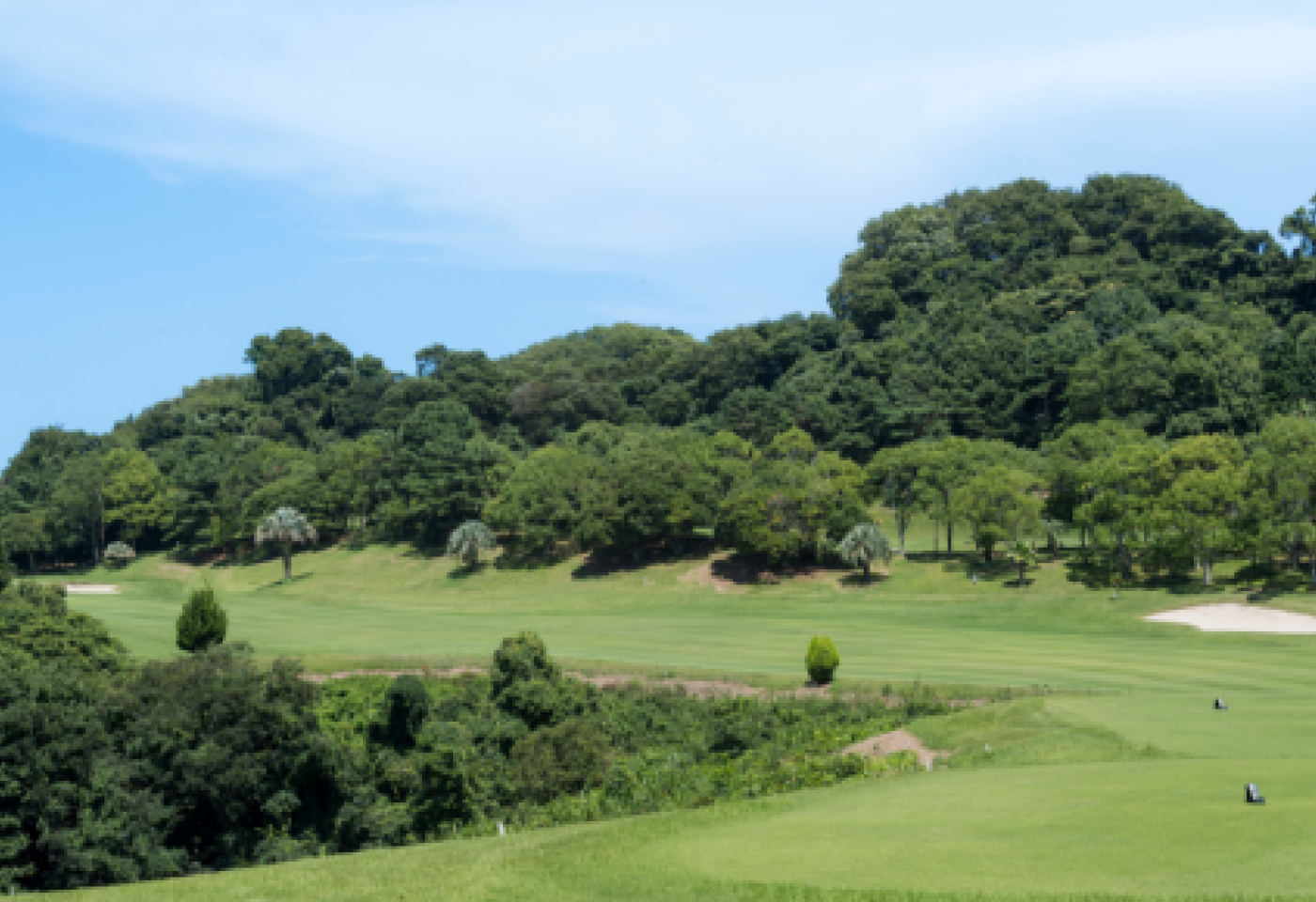 <h2>愛媛松山五天三場球</h2>
<p>松山海濱鄉村俱樂部</p>
<p>SUNSET HILLS鄉村俱樂部</p>
<p>松山皇家高爾夫球俱樂部</p>

