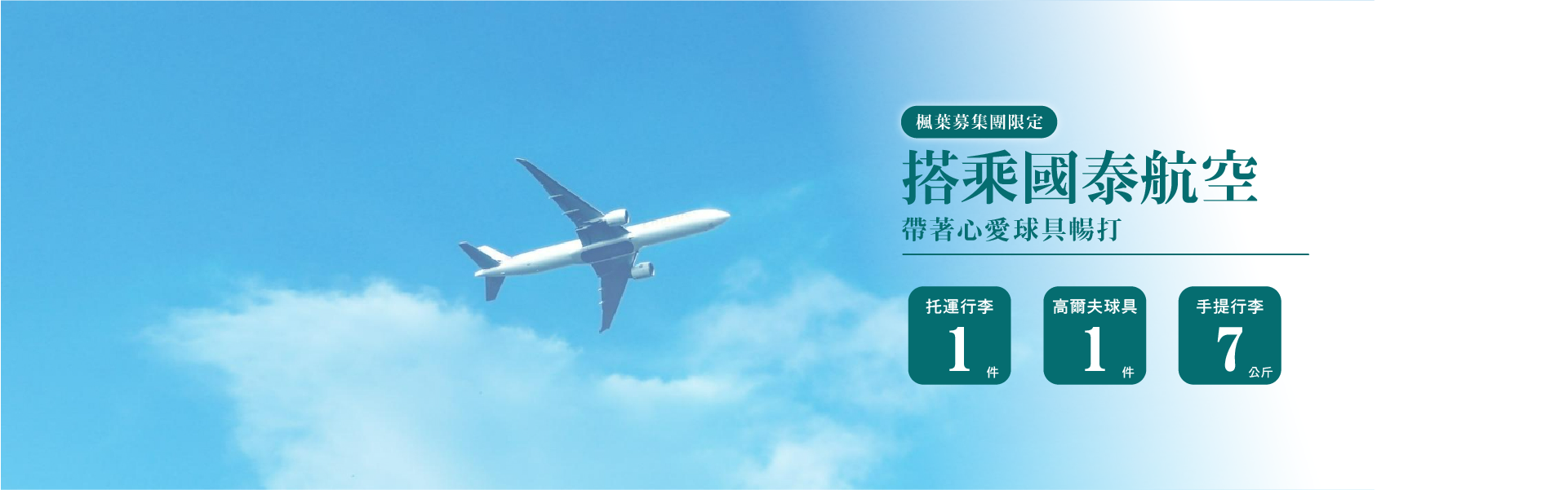 這是一張圖片