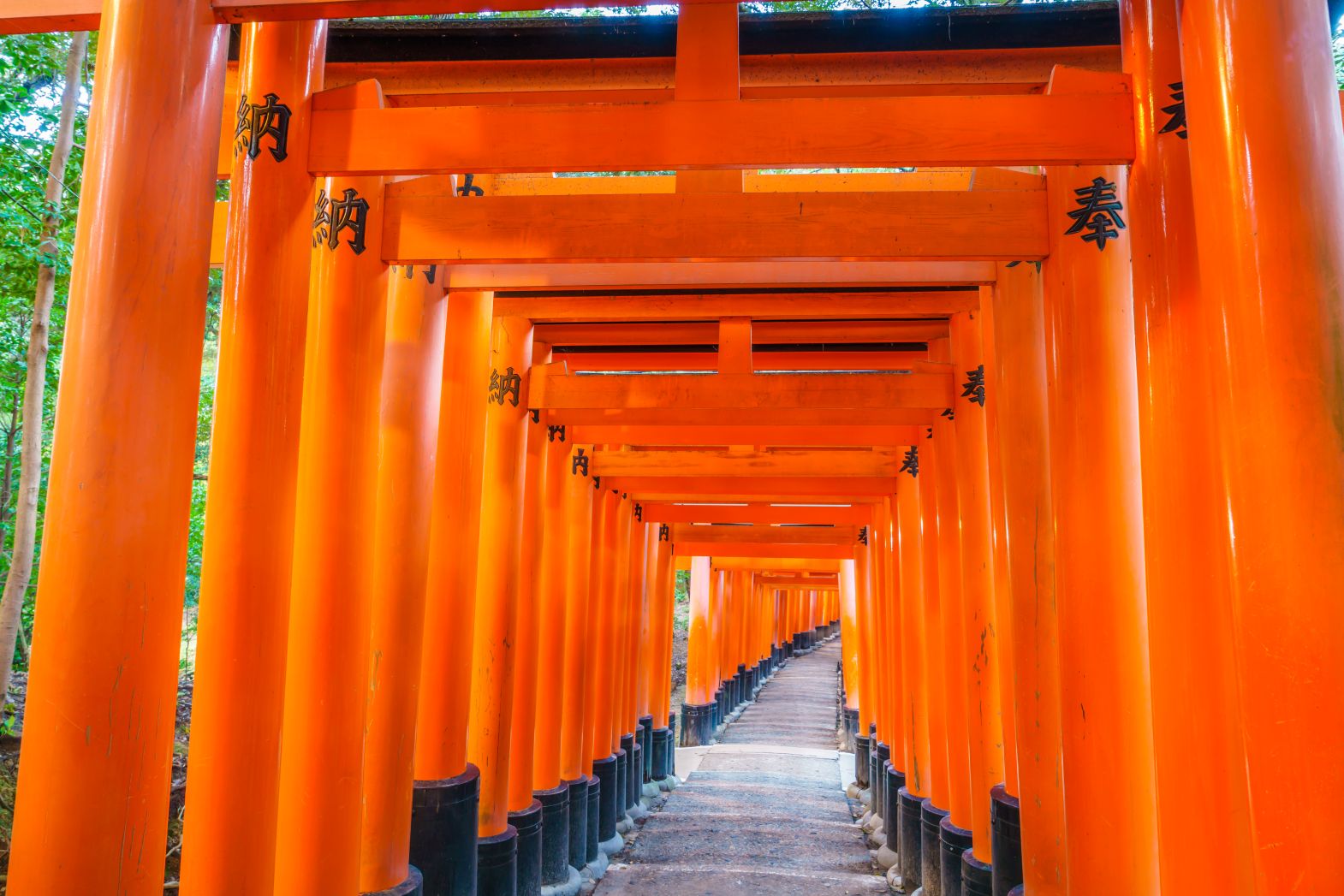 犬山城或三光稻荷神社千鳥居