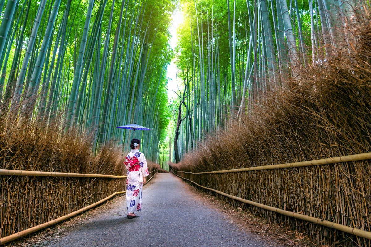 嵐山竹林或東福寺通天橋楓葉