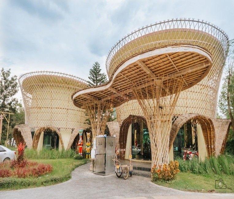 Cross Vibe Chiang Mai Decem