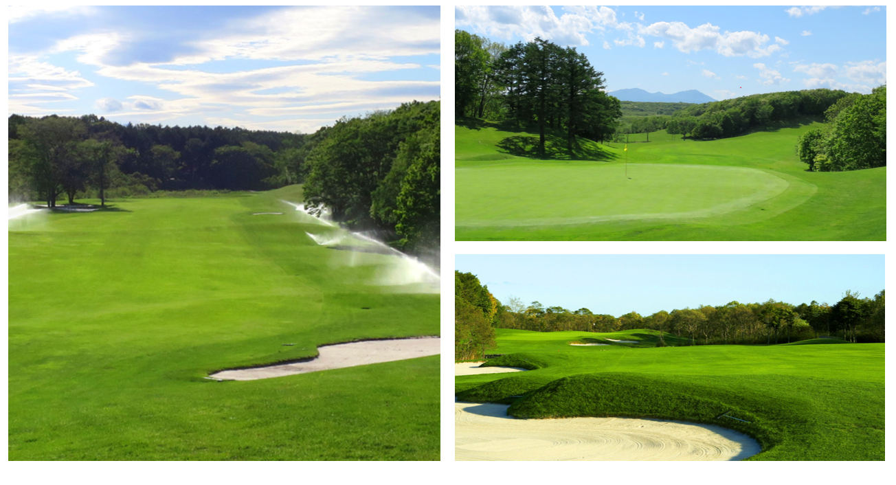 北海道Brooks Country Club