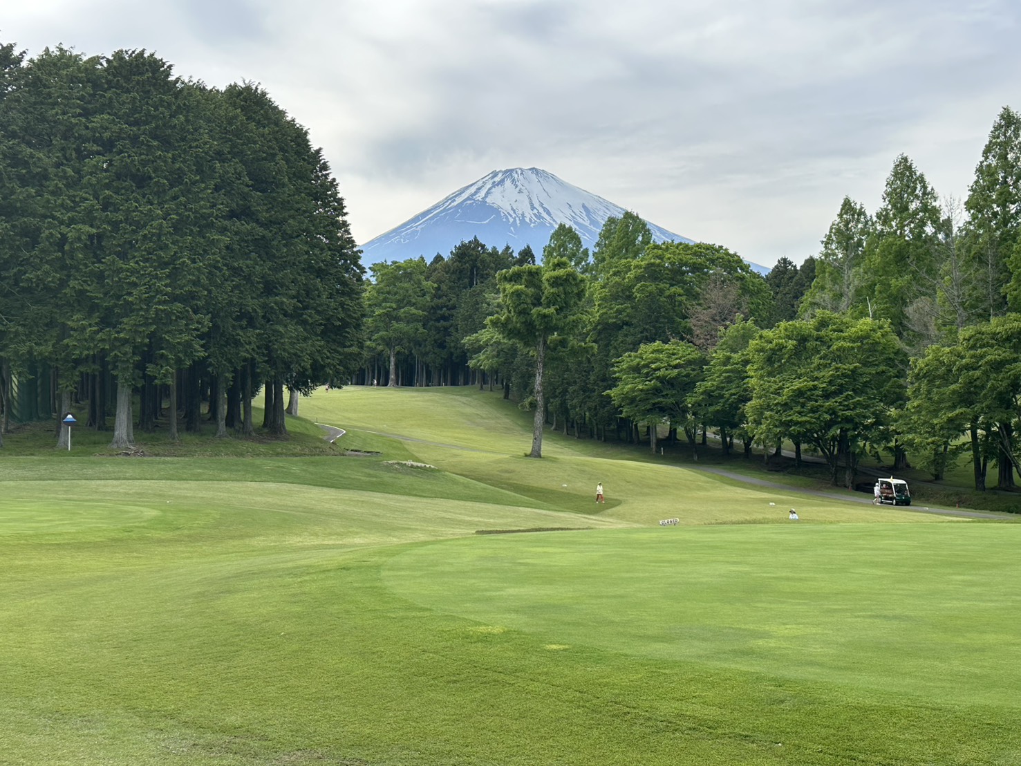 富士山與櫻花美景下的高爾夫球場